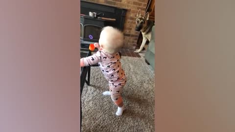 Funny Baby And Pets