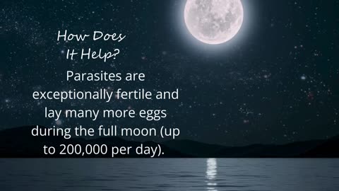 Parasite Protocol Works Best During The Full Moon