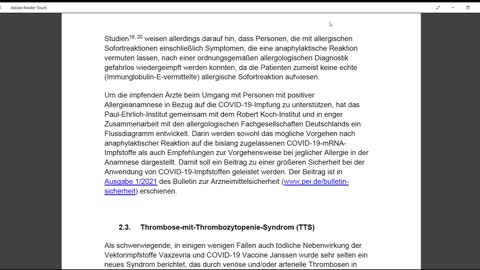 Sicherheitsbericht des Paul-Ehrlich-Instituts vom 26.10.2021 - kommentiert