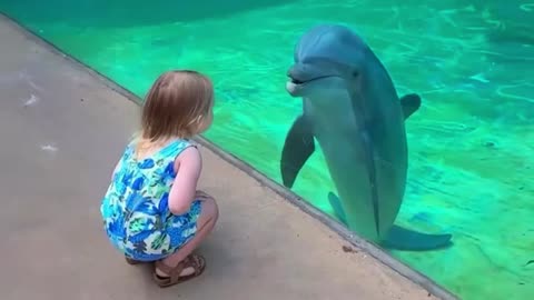 Little Friend and Super Social Dolphin Stop to have a Sweet Chat 🥰