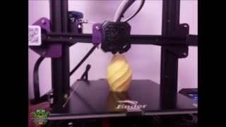 3D Printed Rose Vase - Time Lapse