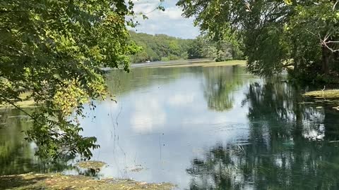 San Marcos River at Aquarena Springs