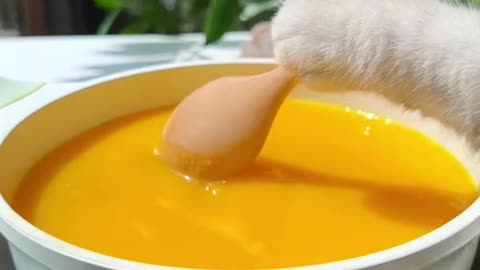 【Chef Cat Cooking】Cat's Creative Food Ideas | Candy&Drinks