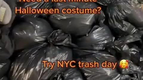 More Non-Human NYC Trash