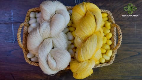 Do you know these facts about yarns?