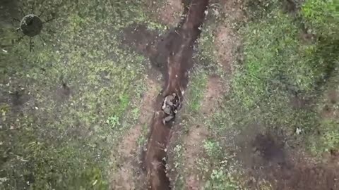 Ukrainian drone and lucky Russian soldier