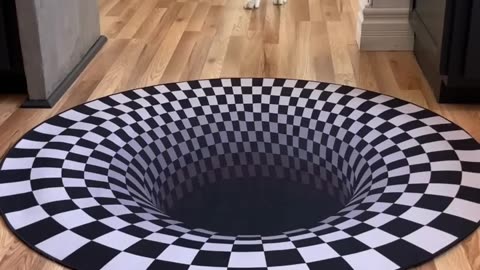 Dog's funny reaction to entering optical illusion