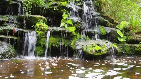 Waterfall Relaxation