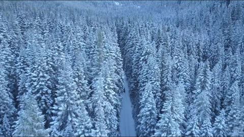 Trees covered with snow ❄️|Drone shot✈️|Heaven tracker