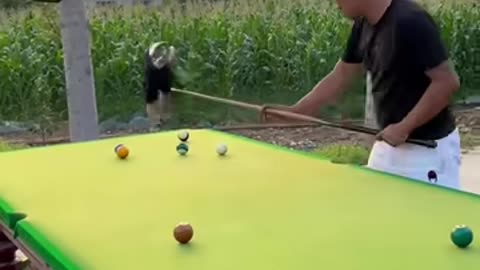 Funny Video Billiards million views