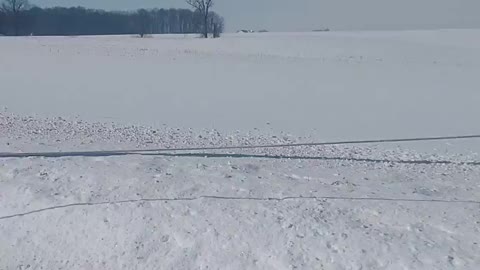 Amish Horse and Buggy Pull Skier