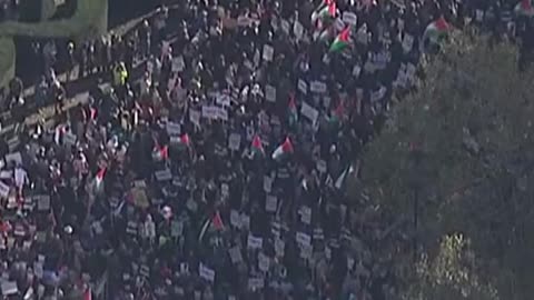 Hundreds of thousands of protesters gathered in London to call for a ceasefire in Israel-Hamas war