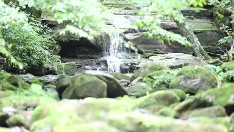 Overlanding Gone Wrong...And Right! Wet and Wild West Virginia! Jeeps and Land Rovers Off-Road