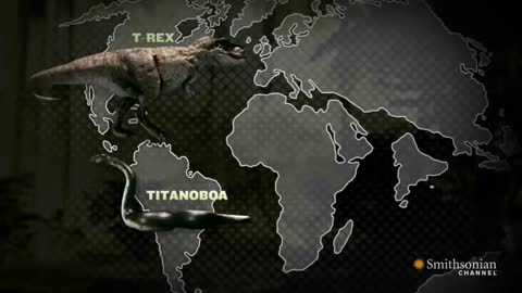 Titanoboa: Monster Snake - Titanoboa Vs. T-Rex