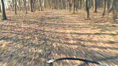 Pov ride on motorcycle in forest