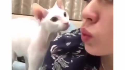 Cats slaps are my fav