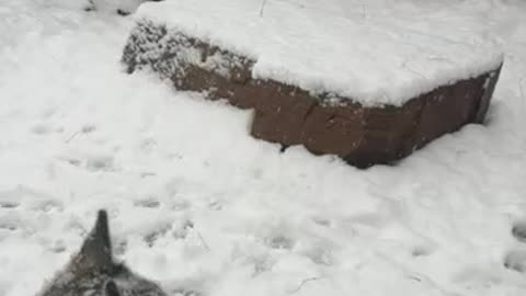 Snow in Boulder