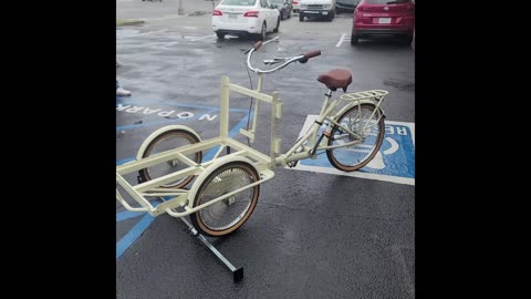 Ice Cream Cargo Bicycle