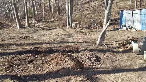 Clearing a site for new chicken coop and run | I'm calling it Fort Chicken