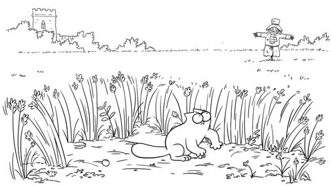 A Year In The Life Of A Cat - Simon's Cat COLLECTION