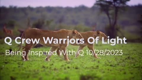 Q Crew Warriors of Light 10/28/2023