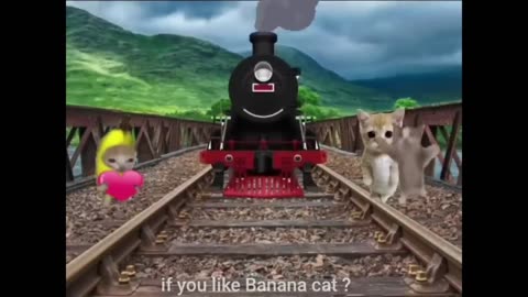 Happy Cat Series Happy and Banana cat videos part 1