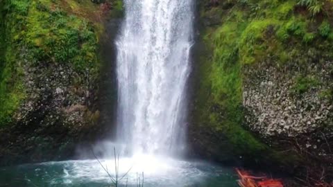 Exploring the Wonders of Alaska IN 4K