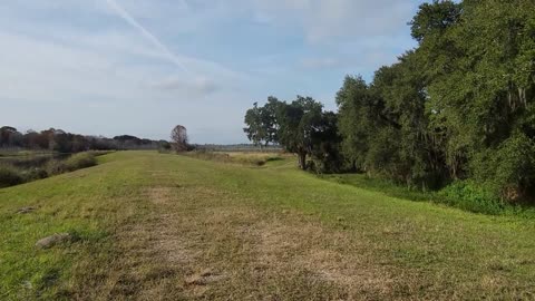 Sunnyhill Restoration Area Ocklawaha River Mountain Bike Ride From 42