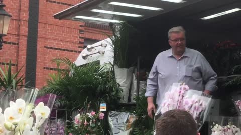 Flower vendor at the Fish market in Altona, Hamburg, Germany