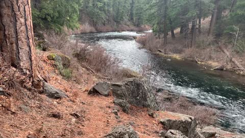 A River Wilderness Wonderland – Metolius River – Central Oregon