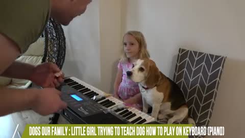 Little Girl Trying To Teach Dog How to Play On Keyboard