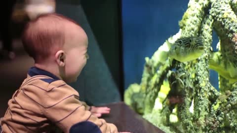 Funny Baby at the Aquarium