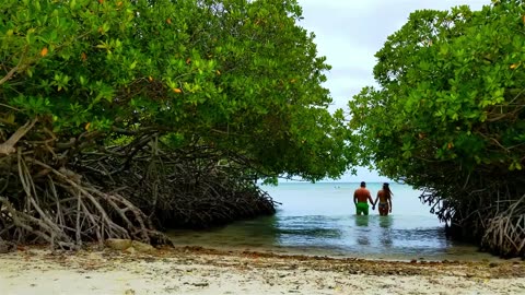 Best Beaches in the Aruba