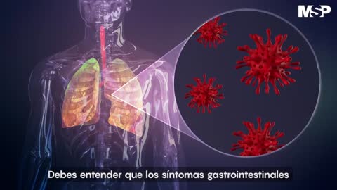 Así ataca el #coronavirus al cuerpo humano