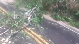 Emergencia en la vía Rionegro-El Playón