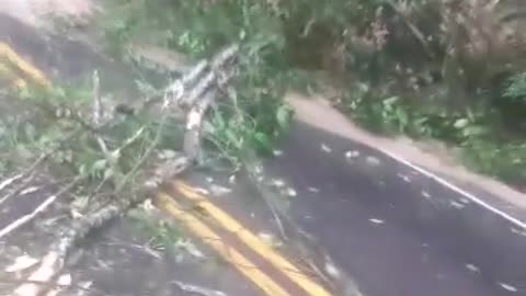 Emergencia en la vía Rionegro-El Playón