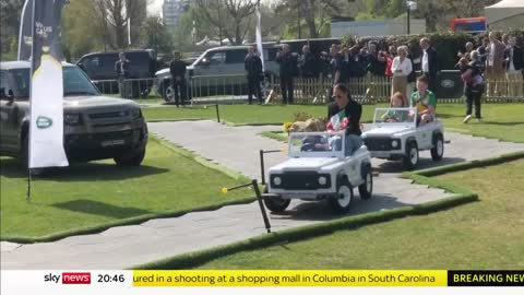 Duke and Duchess of Sussex roll into Invictus Games