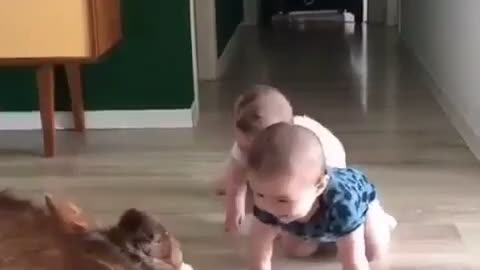 Twin baby are playing with dog