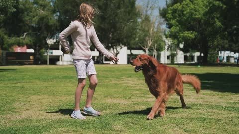 Train People to Train Their Dogs