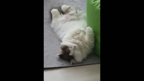 Fluffy cloud wiggling in a dream