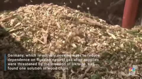 Germans Turn To Wood Chips To Reduce Dependence On Russian Gas Supplies