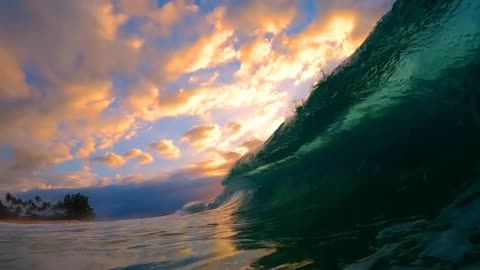 Jelly at sunset, wonderful waves