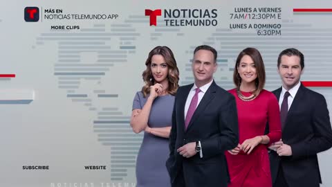 Una estrella de TV ofrece recompensa por el tigre de Houston _ Noticias Telemundo