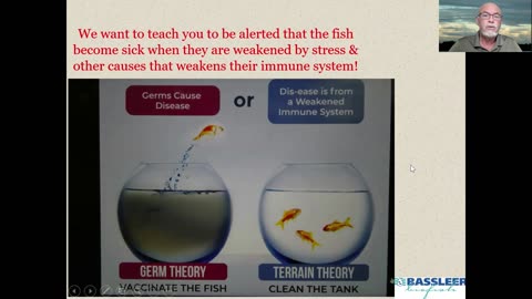 Germ theory versus terrain theory in fish (and all animals on earth) diseases