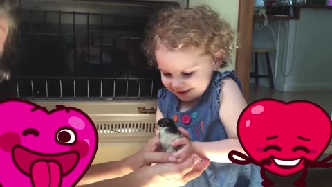 Funny Baby Outdoor Videos: Playing With Chicken | Vol. 2