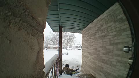 Trying to Use a Leaf Blower on Snow