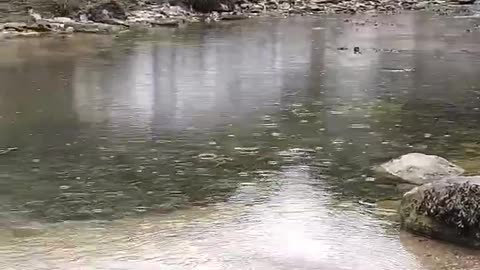 Paddling in Lynton