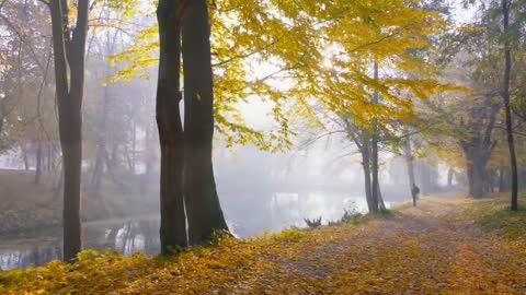 Enchanting Autumn Forests with Beautiful Piano Music