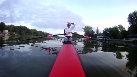 Goose Retaliates After Contact With Rower