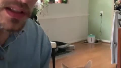 Cat loves owner's piano playing, requests to cuddle with him